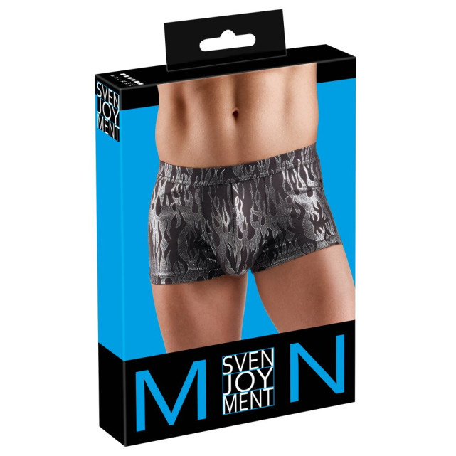 Silver and Black Pants