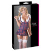 Schoolgirl Costume