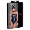 Playboy kanínan