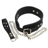 Silicone Collar with Leash