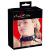 Collar with Leash