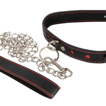 Leash and Collar