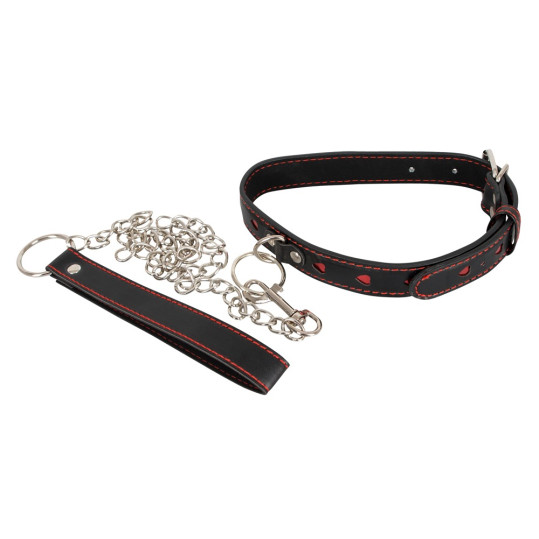 Leash and Collar