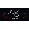 Leash and Collar
