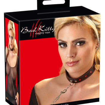 Leash and Collar