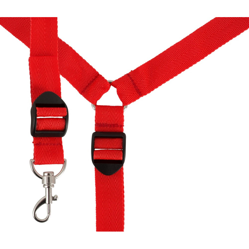 Bed Restraint Set