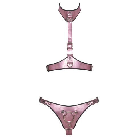 Pink Glossy Harness Set