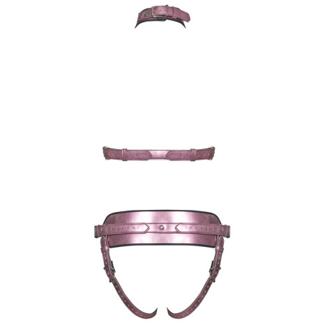 Pink Glossy Harness Set