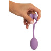 Vaginal Trainer with Bouncing Weights