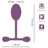 Vaginal Trainer with Bouncing Weights