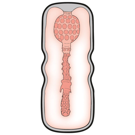 Style Masturbator Anal