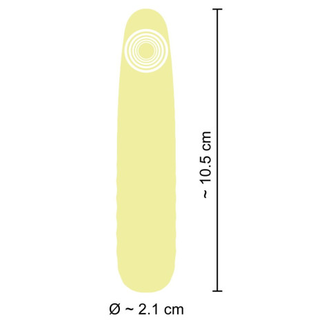 Mini Vibrator