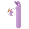 Mini Vibrator