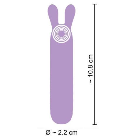 Mini Vibrator