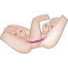 Double Vibrator