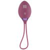 ROVANA RC Love Ball