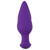 RC 2 in 1 Plug & Panty Vibe