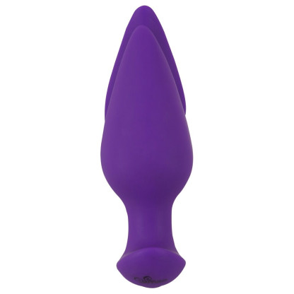 RC 2 in 1 Plug & Panty Vibe