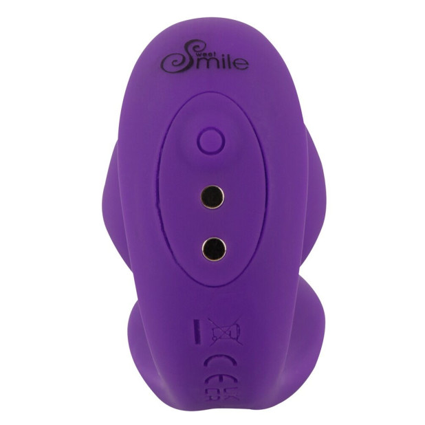 RC 2 in 1 Plug & Panty Vibe