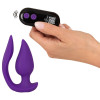 RC 2 in 1 Plug & Panty Vibe