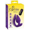 RC 2 in 1 Plug & Panty Vibe