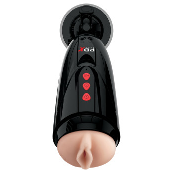Dirty Talk Starter Stroker
