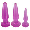 Anal Training Set purple