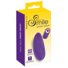 Sweet Smile RC Panty Vibrator