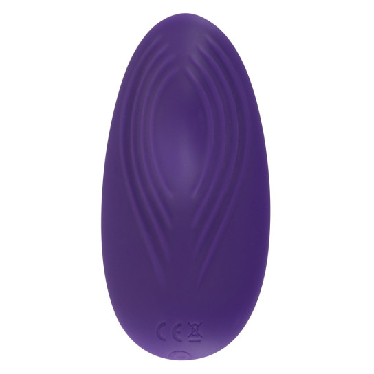 Sweet Smile RC Panty Vibrator