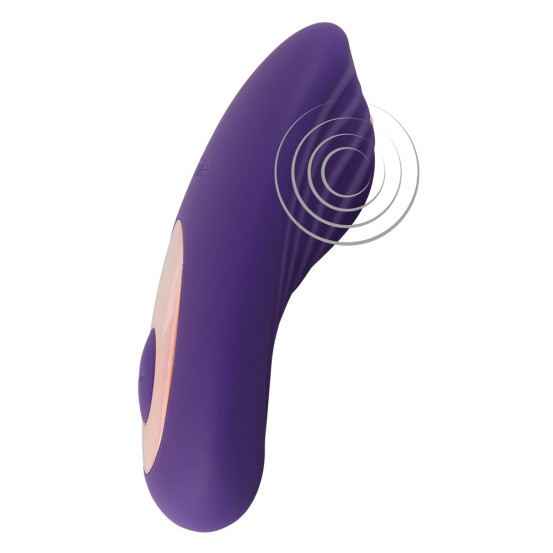 Sweet Smile RC Panty Vibrator