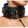 Leather Collar & Leash