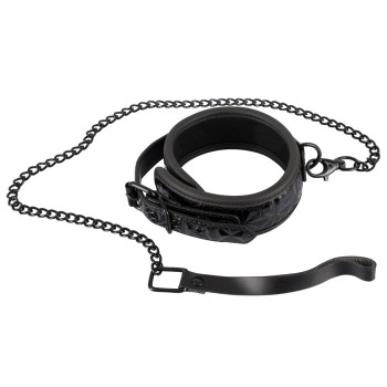 Collar with Leash