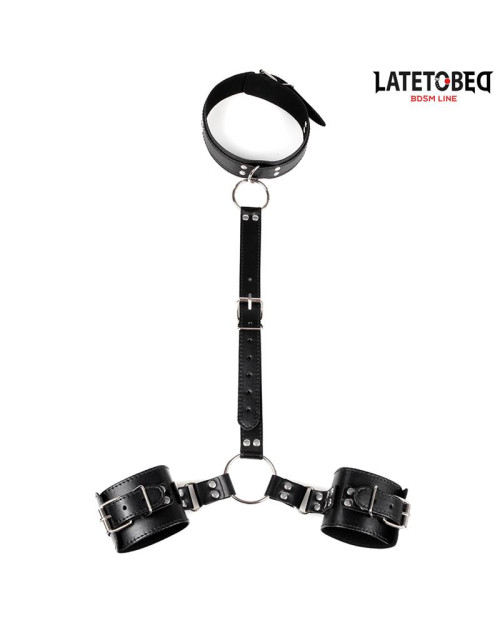  Collar and Wirst Restraints