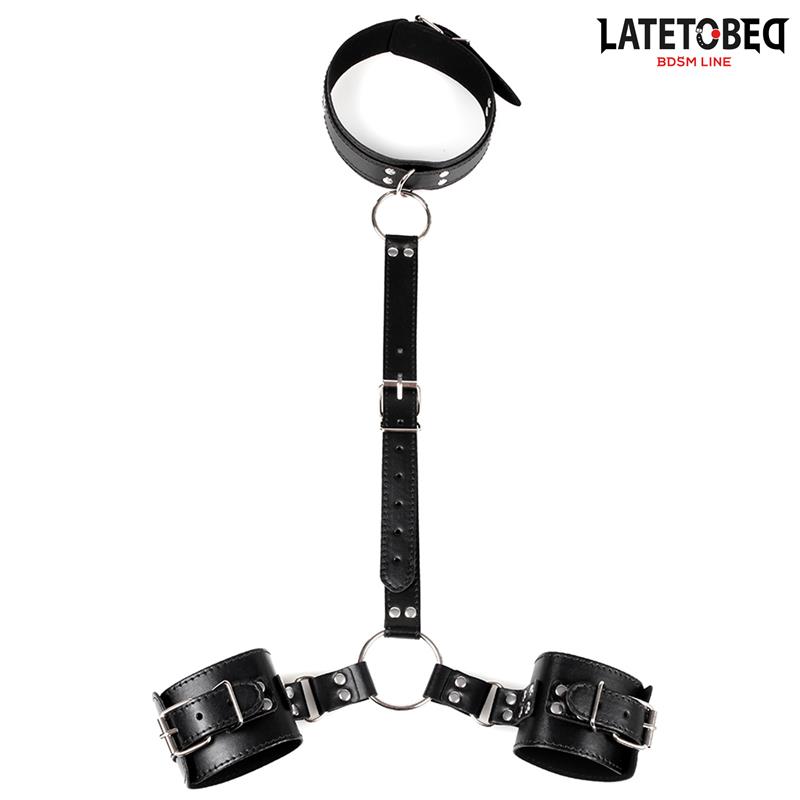  Collar and Wirst Restraints
