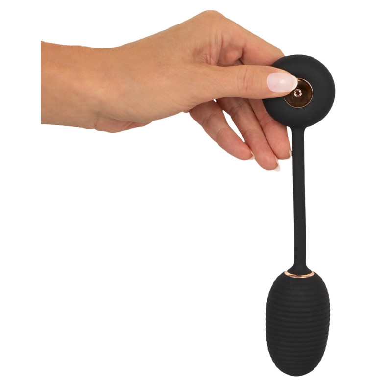 Intense RC Vibrating Egg