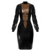 Latex Dress