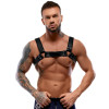 Leather Chest Harness