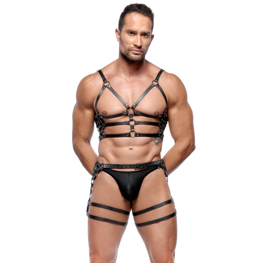 Leather Harness Set M/L