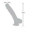 Medical Silicone Dildo 24 cm
