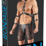 Men's Harness and Pants