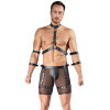 Men's Harness and Pants