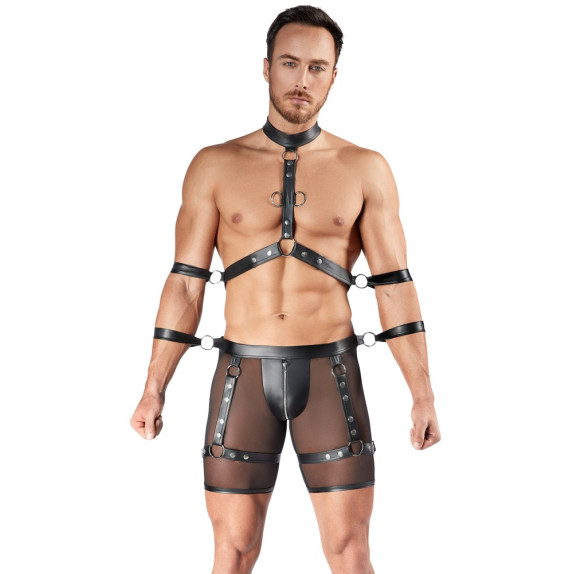 Men's Harness and Pants