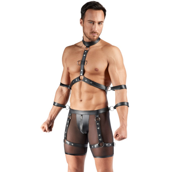 Men's Harness and Pants