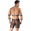 Men's Harness and Pants