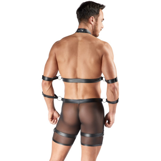 Men's Harness and Pants