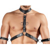 Men's Harness and Pants
