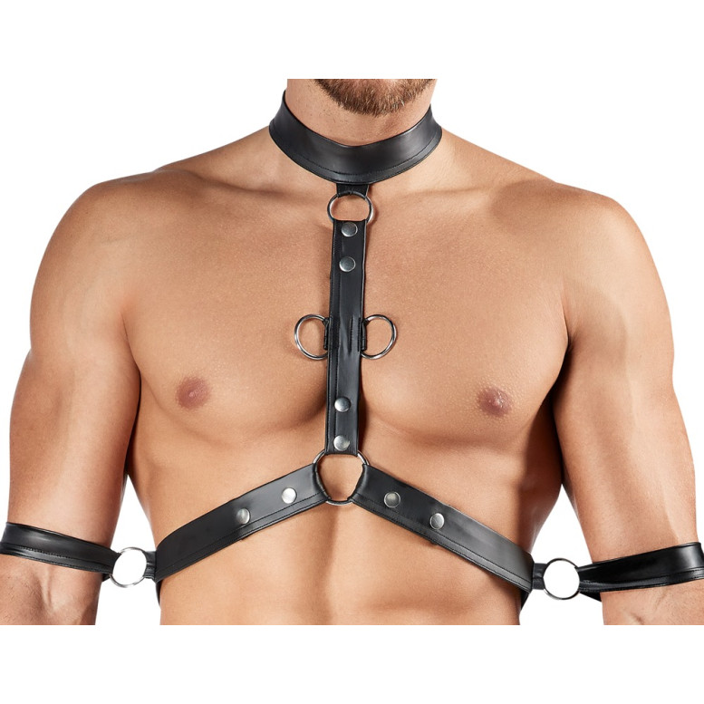 Men's Harness and Pants