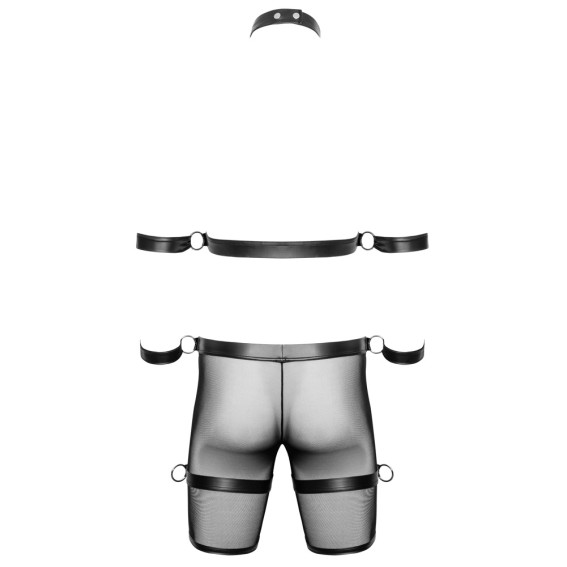 Men's Harness and Pants