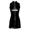 Vinyl Dress with Zip