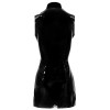 Vinyl Dress with Zip